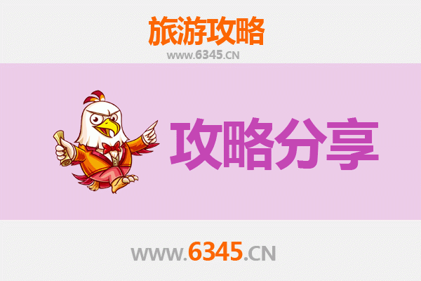 兴安突泉至湄洲岛旅游攻略：跟团与自由行深度对比